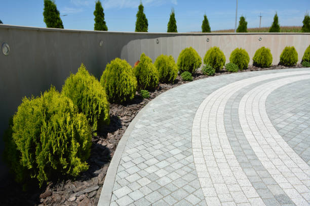 Best Residential Paver Driveway  in Alamae, NC